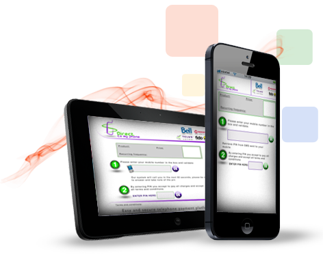 Page de paiement DTMP sur mobile et tablette